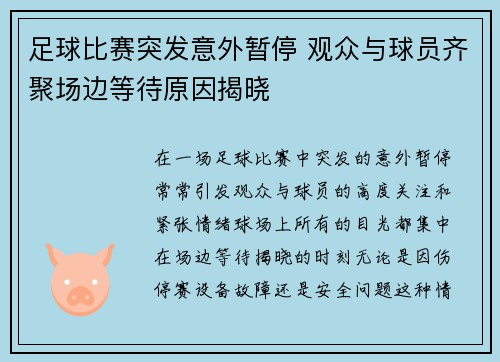 足球比赛突发意外暂停 观众与球员齐聚场边等待原因揭晓
