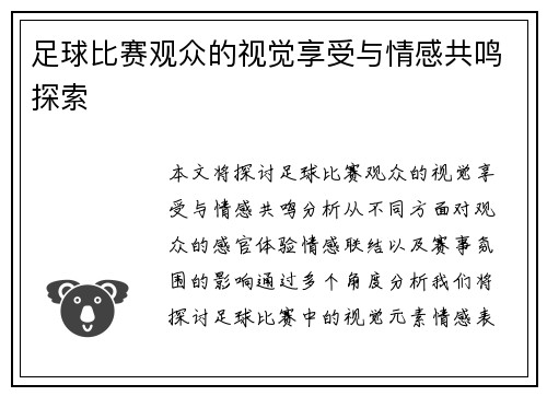 足球比赛观众的视觉享受与情感共鸣探索