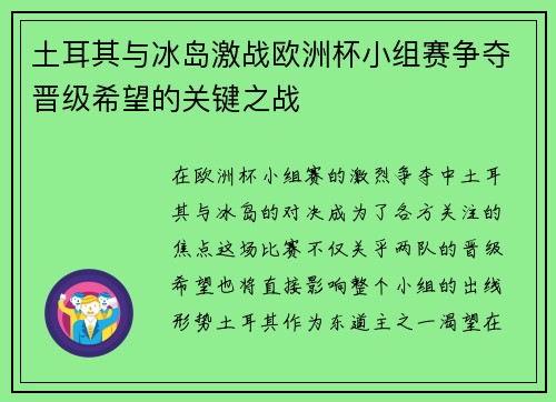 土耳其与冰岛激战欧洲杯小组赛争夺晋级希望的关键之战