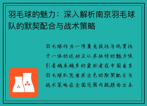 羽毛球的魅力：深入解析南京羽毛球队的默契配合与战术策略